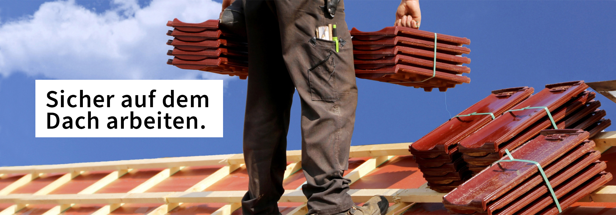 Dachabsturzsicherung